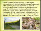Тайга Средней Сибири – крупная сырьевая база государственных заготовок для деревообрабатывающей и лесохимической промышленности. Основными древесными породами являются лиственница, сосна, кедр. Пушной промысел в среднесибирской тайге занимает одно из первых мест среди других районов. Тайга имеет бол