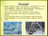 Климат. Крайне своеобразен климат среднесибирской тайги. Значительная часть области в холодный период года находится под воздействием восточносибирского антициклона, обусловливающего очень морозной погоды. Средняя температура января около –30-40°. Исключительно холодная зима – важнейшая причина широ