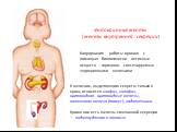 Эндокринные железы (железы внутренней секреции). К железам, выделяющим секреты только в кровь относятся эпифиз, гипофиз, щитовидная, щитовидные железы, вилочковая железа (тимус), надпочечники. Кроме них есть железы смешанной секреции — поджелудочная и половые. Координация работы органов с помощью би