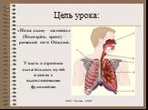 Цель урока: Узнать о строении дыхательных путей в связи с выполняемыми функциями. «Пока дышу – надеюсь» (Dum spiro, spero) – римский поэт Овидий.