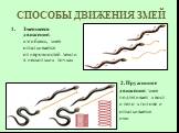 СПОСОБЫ ДВИЖЕНИЯ ЗМЕЙ. Змеящееся движение: изгибаясь, змея отталкивается от неровностей земли в нескольких точках. 2. Пружинное движение: змея подтягивает хвост и тело к голове и отталкивается ими