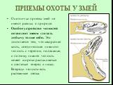 ПРИЕМЫ ОХОТЫ У ЗМЕЙ. Охотничьи приемы змей не имеют равных в природе. Особое устройство челюстей позволяет змеям глотать добычу толще себя. Это достигается тем, что квадратная кость, соединяющая нижнюю челюсть с черепом, подвижная, и поэтому нижняя челюсть может широко распахиваться и двигаться впер