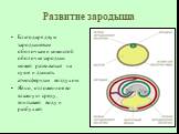 Развитие зародыша. Благодаря двум зародышевым оболочкам и кожистой оболочке зародыш может развиваться на суше и дышать атмосферным воздухом. Яйцо, отложенное во влажную среду, впитывает воду и разбухает