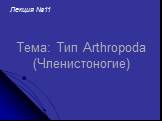 Тема: Тип Arthropoda (Членистоногие). Лекция №11