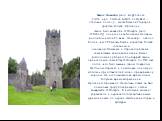 Замок Онанэйр (англ. Aughnanure Castle, ирл. Caisleán Achadh na nlubhar — «Тисовое поле») — жилая башня в Утерарде, графство Голуэй, Ирландия. Замок был возведён О’Флаэрти (англ. O’Flaherty), одним из наиболее влиятельных родов Коннахта в 16 веке. Онанэйр — одна из более чем 200 жилых башен в графст