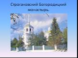 Строгановский Богородицкий монастырь.