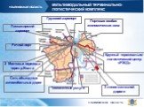 ТИТУЛЬНЫЙ СЛАЙД. Грузовой аэропорт. Пассажирский аэропорт. Речной порт. 2 Мостовых перехода через р.Волга. Портовая особая экономическая зона. Сеть объездных автомобильных дорог. 3 линии железной дороги. Крупный терминально-логистический центр «РЖД». Таможенные услуги. МУЛЬТИМОДАЛЬНЫЙ ТЕРМИНАЛЬНО-ЛО