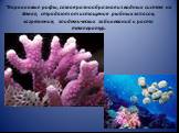 *Коралловые рифы, самая разнообразная из водных систем на Земле, страдают от истощения рыбных запасов, загрязнения, эпидемических заболеваний и роста температур.