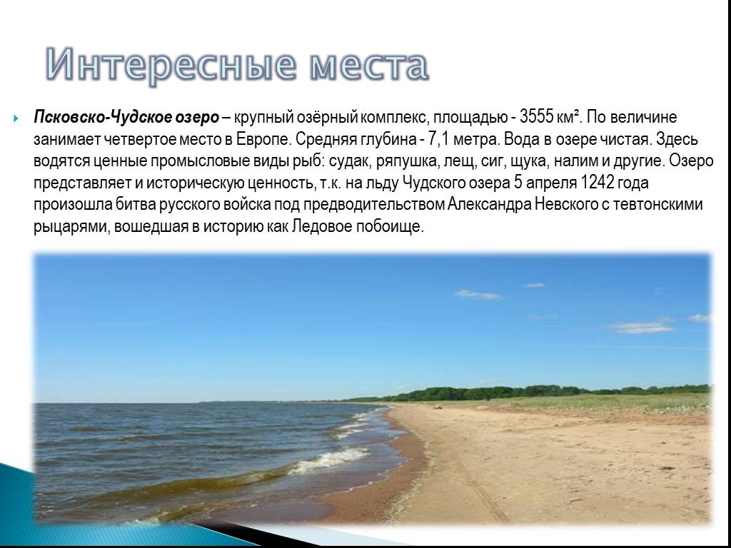 Какое озеро занимает третье место по величине. Чудское озеро. Чудское озеро в Псковской области. Чудское озеро соленое или пресное. Чудское озеро описание.