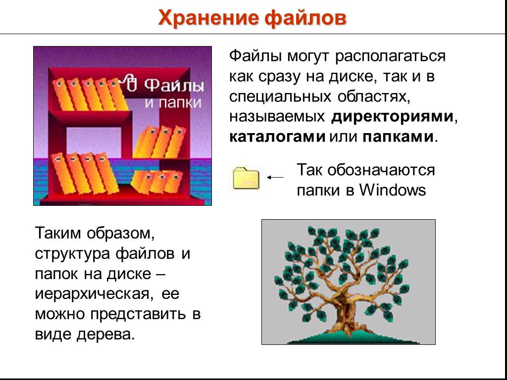 В видеопамяти хранится информация. Единицы хранения информации. Файл как единица хранения информации на компьютере.