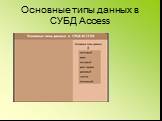 Основные типы данных в СУБД Access
