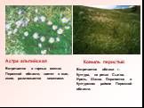Астра альпийская Встречается в горных местах Пермской области, цветет в мае, июне, размножается семенами. Ковыль перистый. Встречается вблизи г. Кунгура, на реках Сылва, Ирень, Шаква. Охраняется в Кунгурском районе Пермской области.