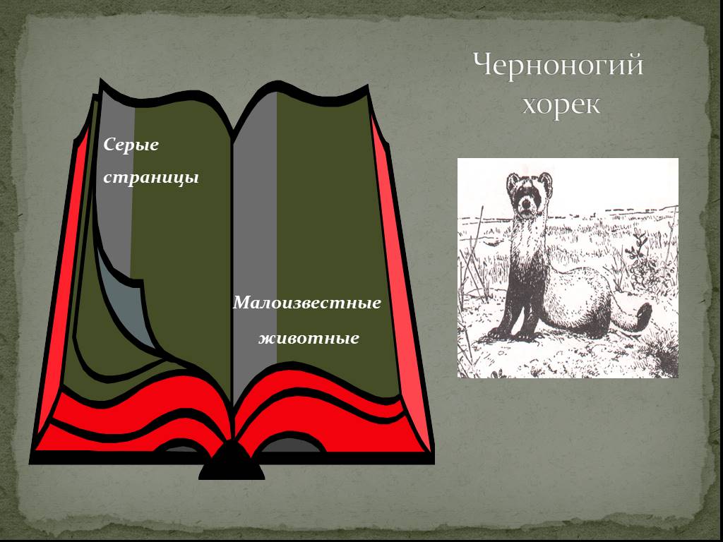 Красная и черная книга россии презентация