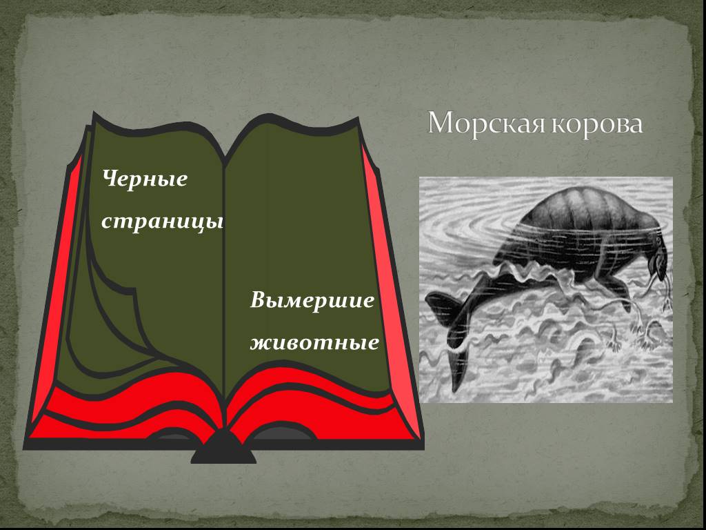 Красная и черная книга россии презентация