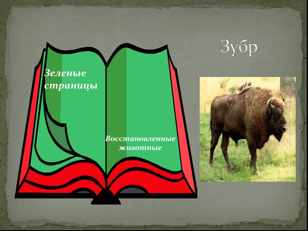Красная книга россии цвета