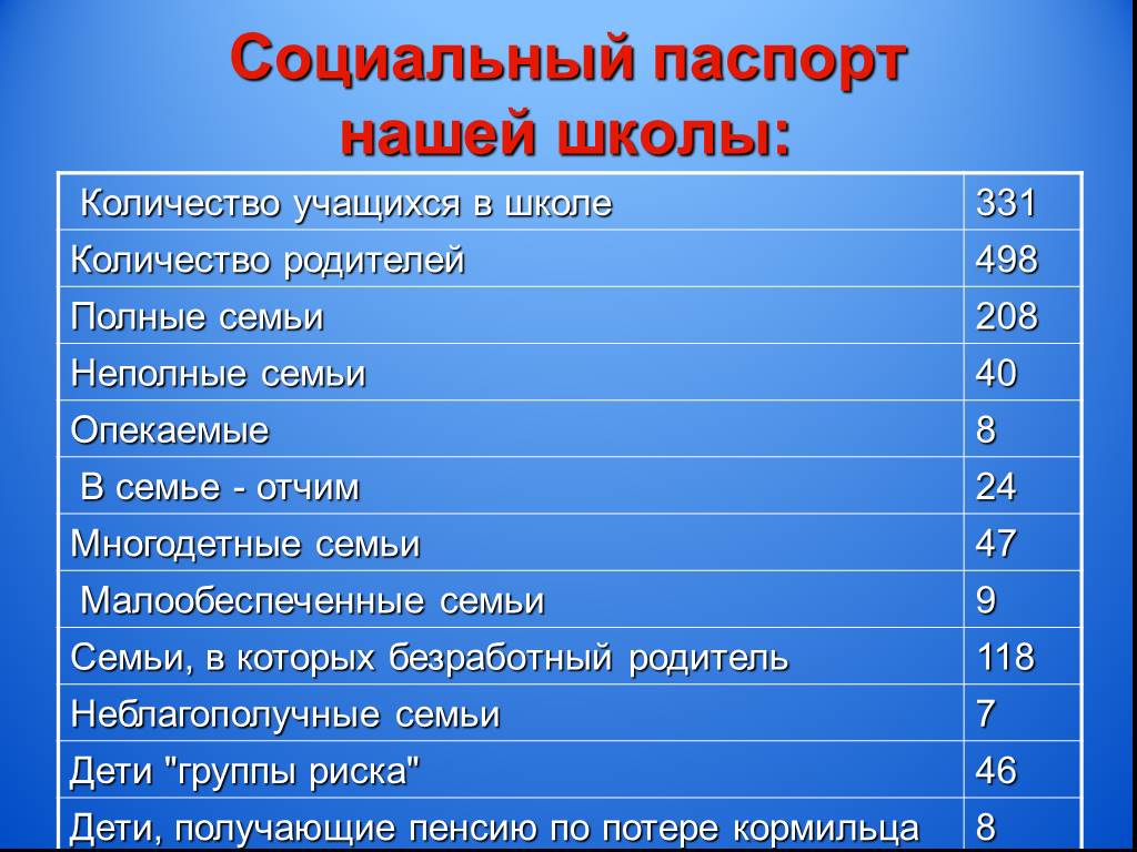 Паспорт социального проекта в школе