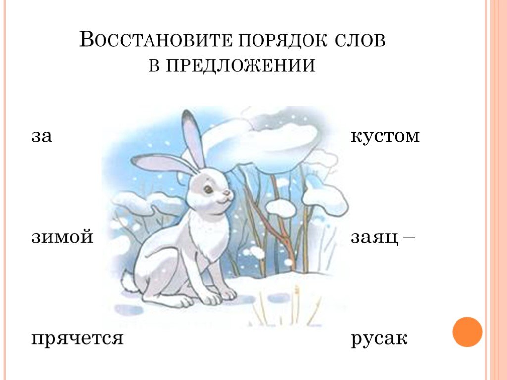 Лексическое слово заяц. Предложение со словом заяц. Предложение про зайца. Восстанови порядок слов. Прелоодегие со словом заяц.