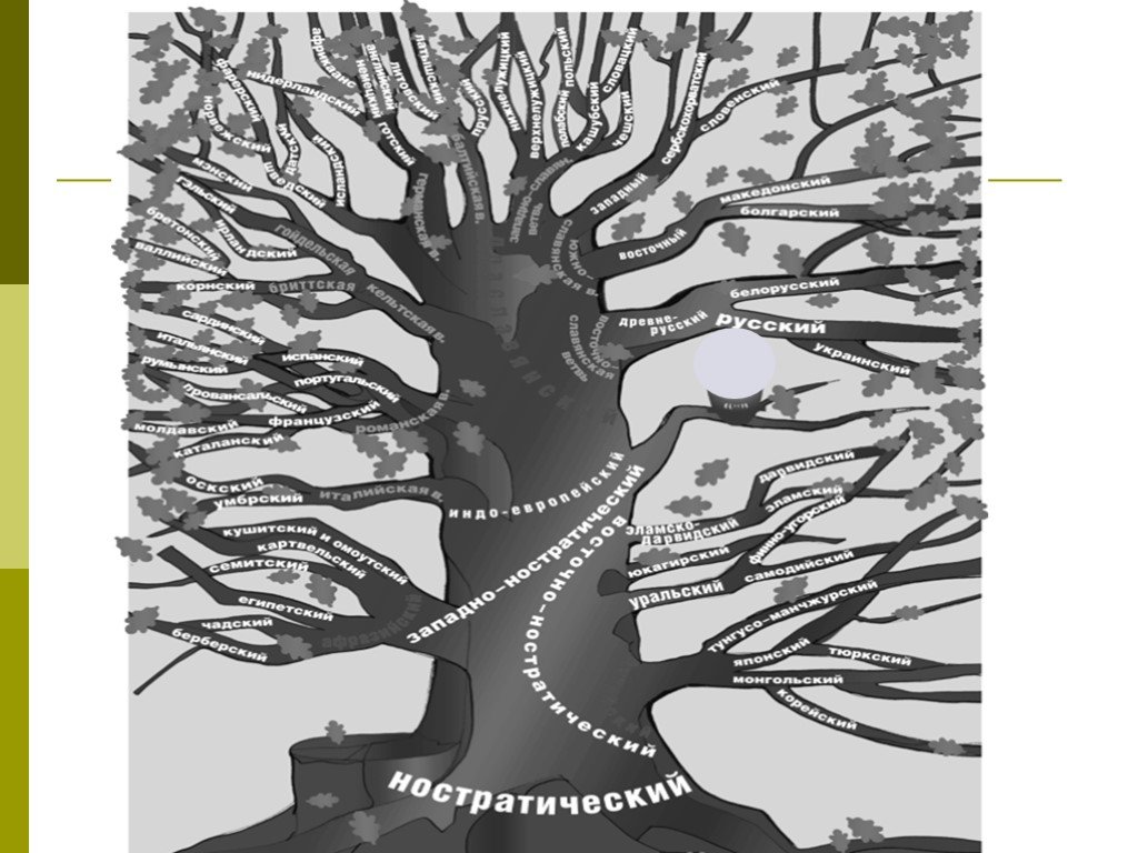 Tree на русском языке. Генеалогическое Древо языков. Языковое дерево. Дерево языков ЮНЕСКО.