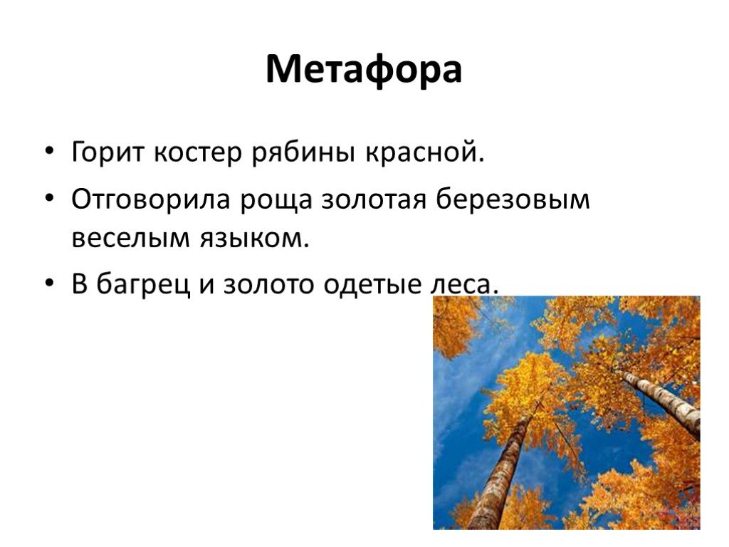 Выразительные средства метафоры. В багрец и золото одетые леса метафора. Костёр рябины красной метафора. Отговорила роща Золотая метафоры. Горит костер рябины красной метафора.