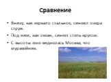 Внизу, как зеркало стальное, синеют озера струи. Под ним, как океан, синеет степь кругом. С высоты мне виднелась Москва, что муравейник.