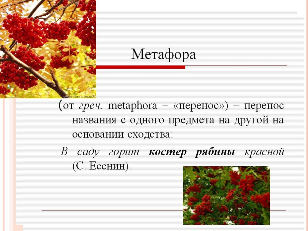 Метафора деген. Метафора дегеніміз не. В саду горит костер рябины красной метафора. Метафора дегеніміз. Костер рябины метафора.