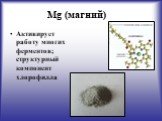 Mg (магний). Активирует работу многих ферментов; структурный компонент хлорофилла