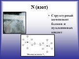 N (азот). Структурный компонент белков и нуклеиновых кислот
