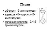 аденин - 6-аминопурин гуанин - 6-гидрокси-2-аминопурин мочевая кислота - 2,4,6-триоксипурин
