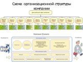 Схема организационной структуры компании