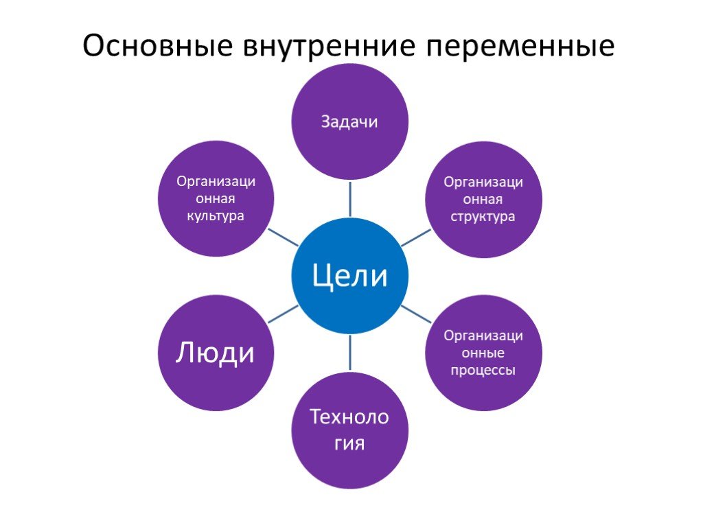 Организация ее цели и структура
