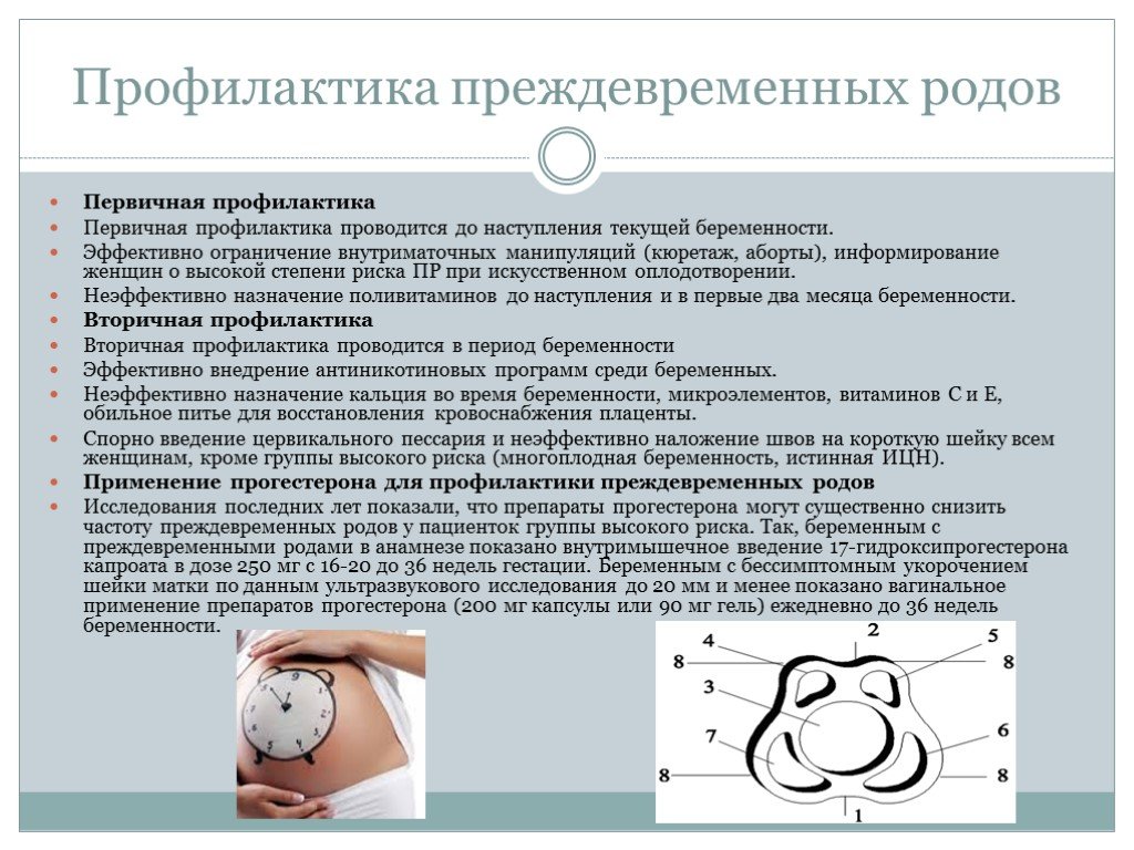 Беременность и роды проект