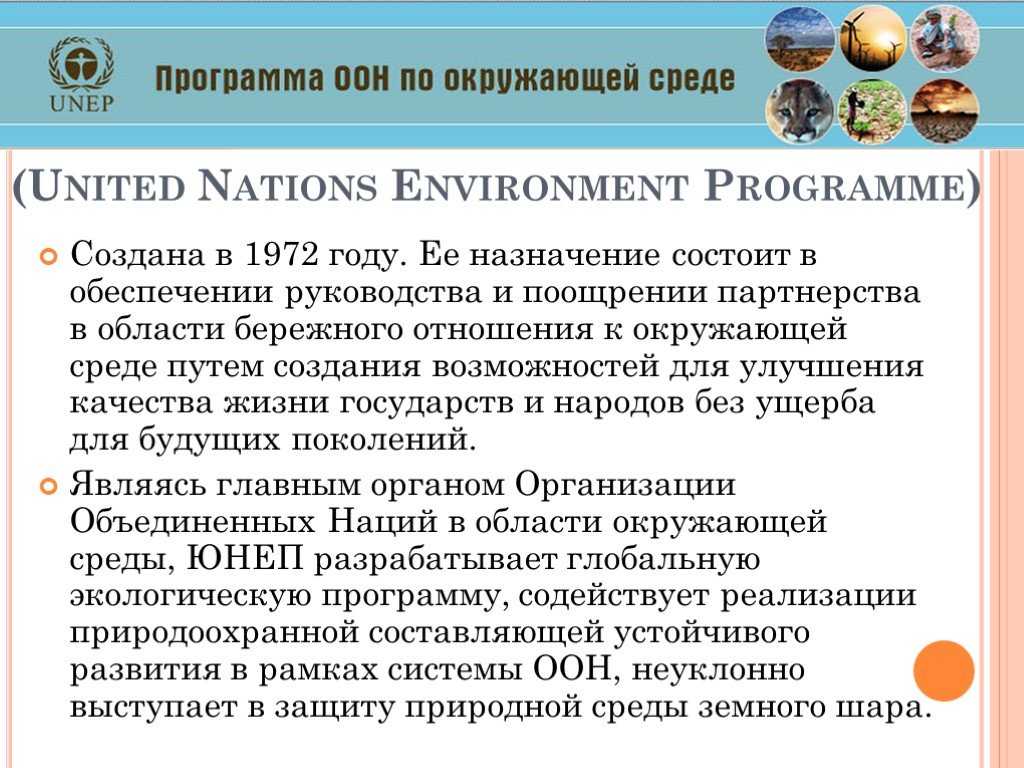 Программа ООН по окружающей среде. Программа ООН по окружающей среде (ЮНЕП). Организации работающие под эгидой ООН. Организации действующие под эгидой ООН.