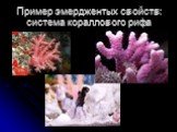 Пример эмерджентых свойств: система кораллового рифа