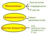 Моноамины: Ацетилхолин Норадреналин И другие Аминокислоты: Гамма аминомасляная. Другие вещества: АТФ, Нейропептиды, Энкефалины И др.