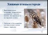 Некоторые совы, например, домовый сыч или сипуха— охотно селятся под крышами и на чердаках домов. Гнездами в большинстве случаев служат дупла старых деревьев.