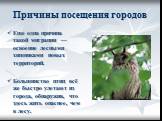 Еще одна причина такой миграции — освоение лесными хищниками новых территорий. Большинство птиц всё же быстро улетают из города, обнаружив, что здесь жить опаснее, чем в лесу.