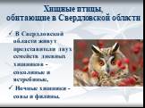 Хищные птицы, обитающие в Свердловской области. В Свердловской области живут представители двух семейств дневных хищников - соколиные и ястребиные, Ночные хищники - совы и филины.