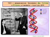 1953 г. американские биохимики Дж. Уотсон и Ф.Крик установили структуру ДНК