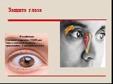 Защита глаза. Ежедневно: человек моргает 11500 раз наши слезные железы производят 3 наперстка слез