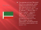 Флаг Чечни. Государственный флаг Чеченской Республики представляет собой прямоугольное полотнище из трех горизонтальных полос: верхней — зелёного цвета — 65 см, средней — белого цвета — 10 см и нижней — красного цвета — 35 см; у древка — вертикальная белая полоса с чеченским национальным орнаментом 