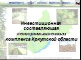 Докладчик: Вельдяев Ю.А. – заместитель министра лесного комплекса Иркутской области. Инвестиционная составляющая лесопромышленного комплекса Иркутской области