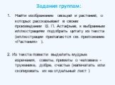 Задания группам: Найти изображение овощей и растений, о которых рассказывает в своем произведении В. П. Астафьев, к выбранным иллюстрациям подобрать цитату из текста (иллюстрации прилагаются см. приложение «Растения» ). 2. Из текста повести выделить мудрые изречения, советы, приметы о человеке - тру