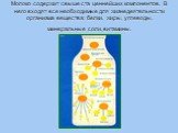 Молоко содержит свыше ста ценнейших компонентов. В него входят все необходимые для жизнедеятельности организма вещества: белки, жиры, углеводы, минеральные соли, витамины.