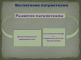 Воспитание патриотизма. Развитие патриотизма. воспитательные мероприятия. психологические и педагогические механизмы