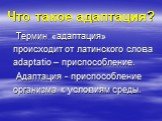 Что такое адаптация? Термин «адаптация» происходит от латинского слова adaptatio – приспособление. Адаптация - приспособление организма к условиям среды.