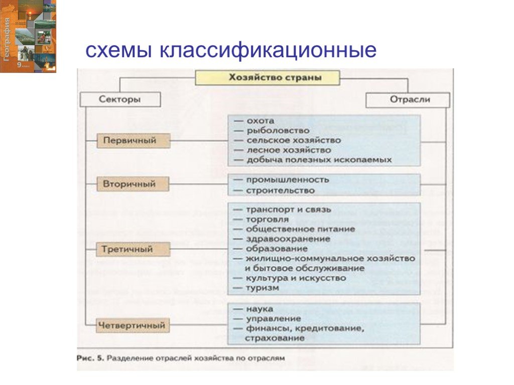 Отрасли хозяйства схема. Отрасли по секторам хозяйства. Разделение отраслей по секторам. Отрасли экономики по секторам.