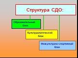 Структура СДО: Образовательный блок. Культурологический блок. Физкультурно-спортивный блок