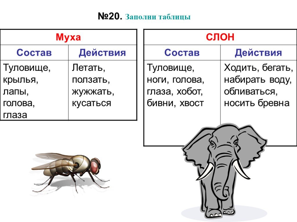 Придумай и нарисуй слономуху и мухослона заполни таблицы