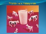 Молочных продуктов