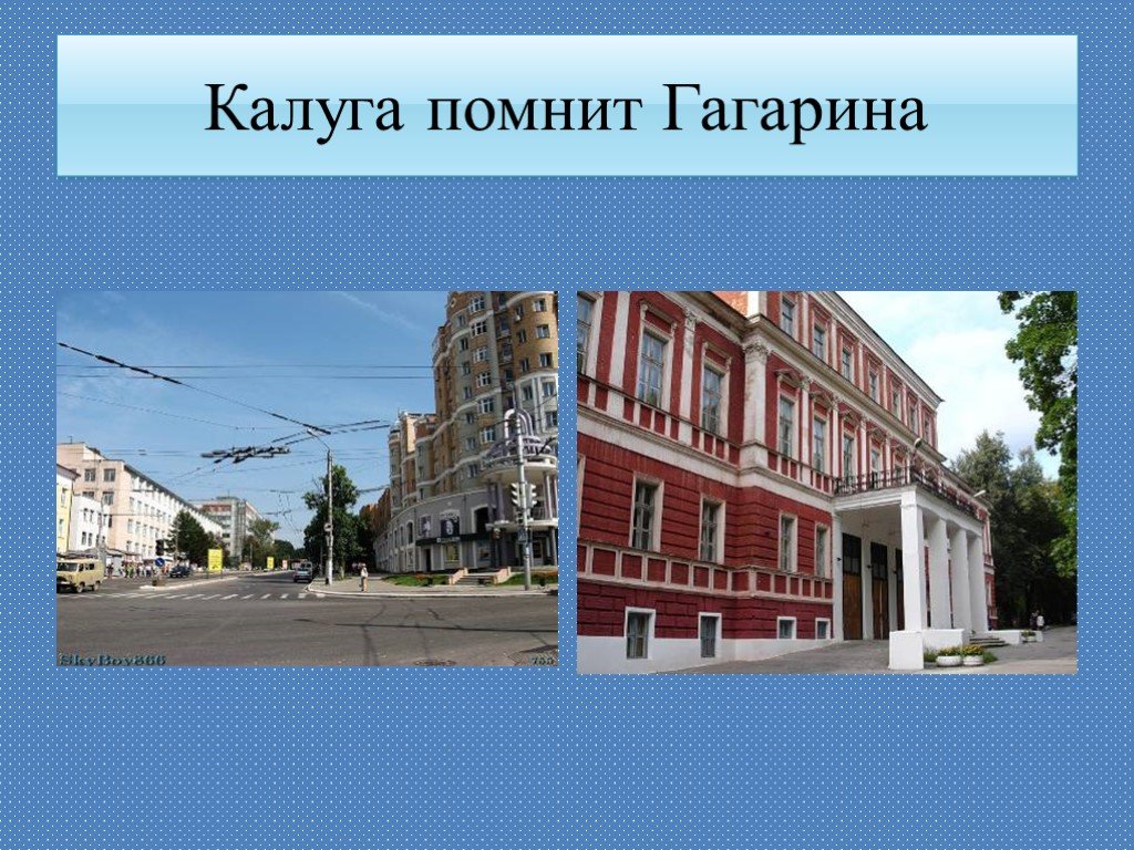 Проект о калуге